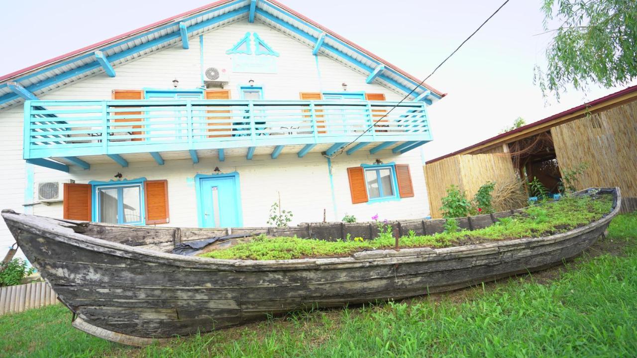Pensiunea Yogi Dunavatu de Jos Exterior foto